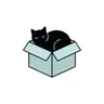 Profile picture of The Organized Cat